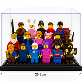 Display Box - Special One Piece